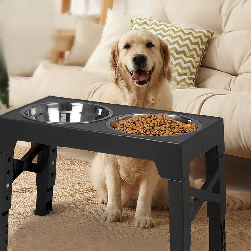 Royal Canin Food Medium - أوعية تغذية الكلاب المرتفعة من BOOTEELY،
