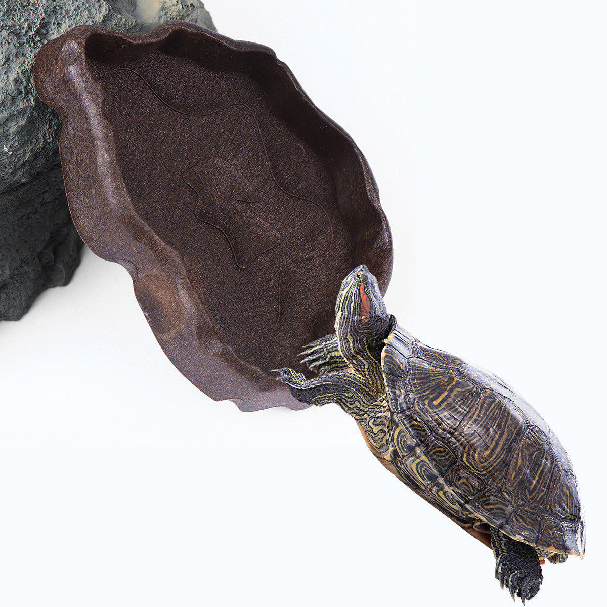 طبق طعام من الراتنج للزواحف مق - مراجعة Water Dish Reptile وسعره