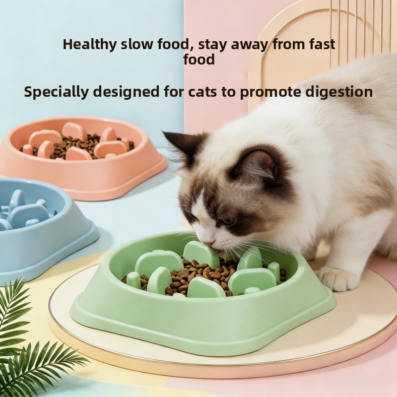 وعاء طعام للكلاب مضاد للانزلاق - مراجعة Royal Canin Food Medium وسعره