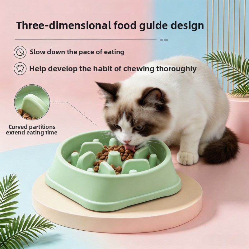 وعاء طعام للكلاب مضاد للانزلاق - مراجعة Royal Canin Food Medium وسعره