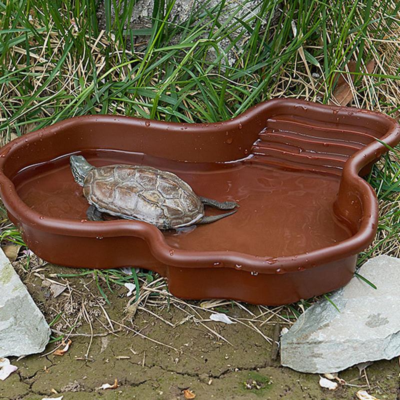 طبق تغذية السلحفاة حمام سباحة  - مراجعة Water Dish Reptile وسعره