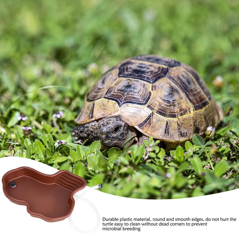 طبق تغذية السلحفاة حمام سباحة  - مراجعة Water Dish Reptile وسعره