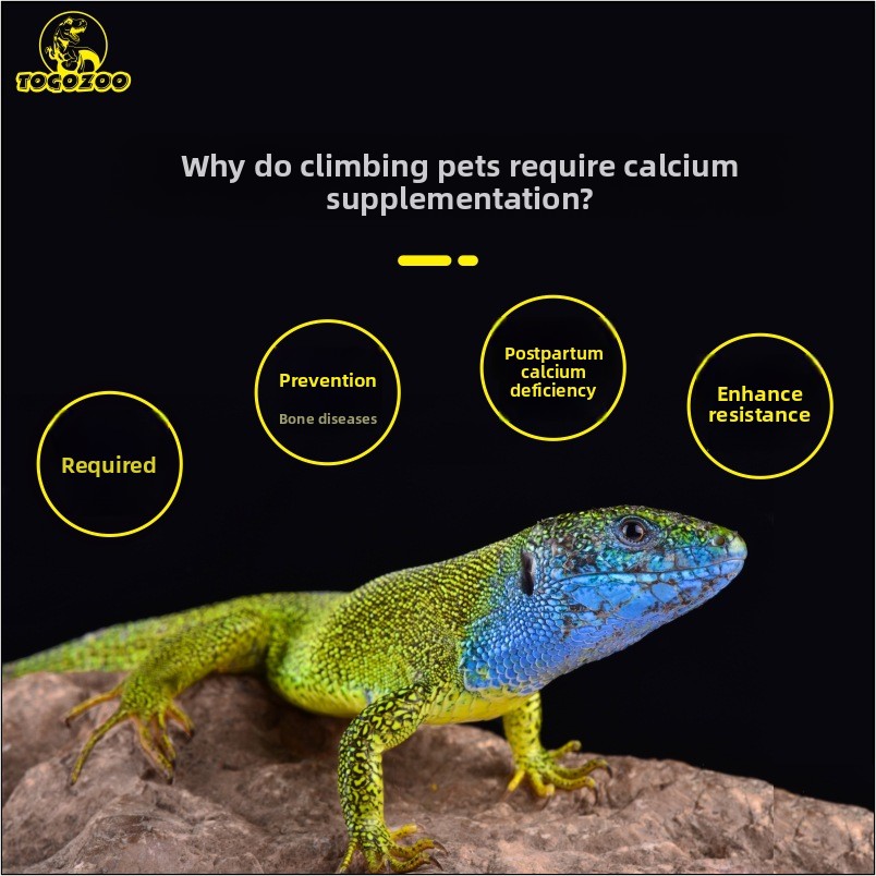 TOGOZOO WILDCAL مسحوق الكالسيو - مراجعة Calcium Powder Reptile وسعره