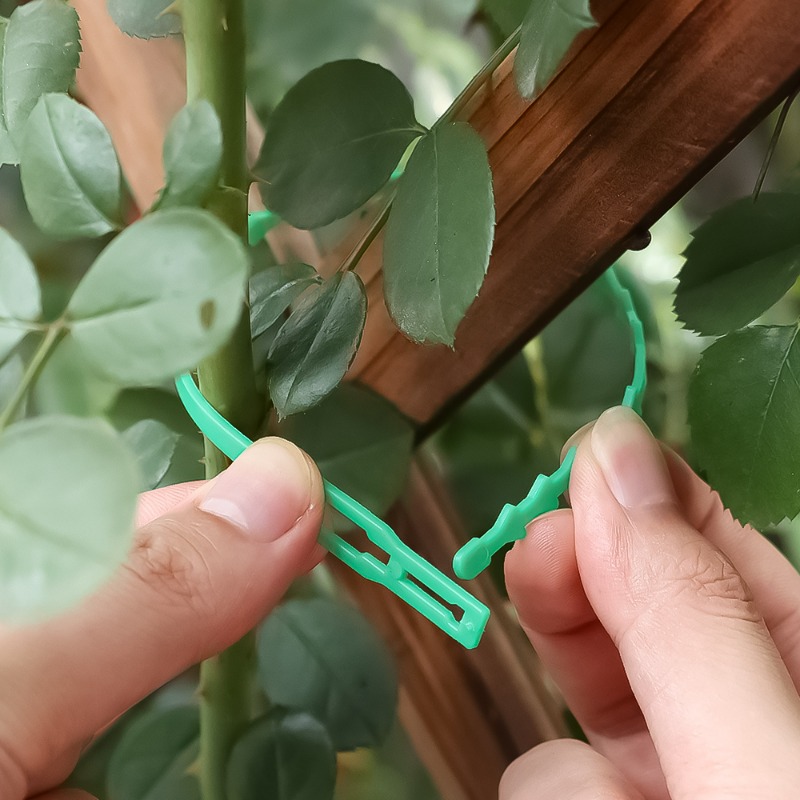 ربطات نباتية قابلة لإعادة الاس - مراجعة Vine Climbing Plastic وسعره