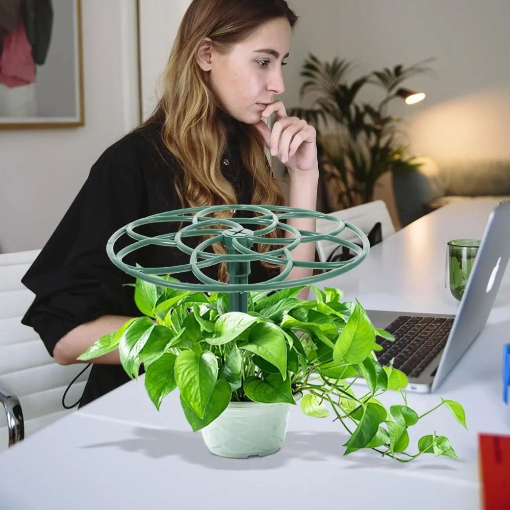 إطار تسلق متين للنباتات الصغير - مراجعة Vine Climbing Plastic وسعره