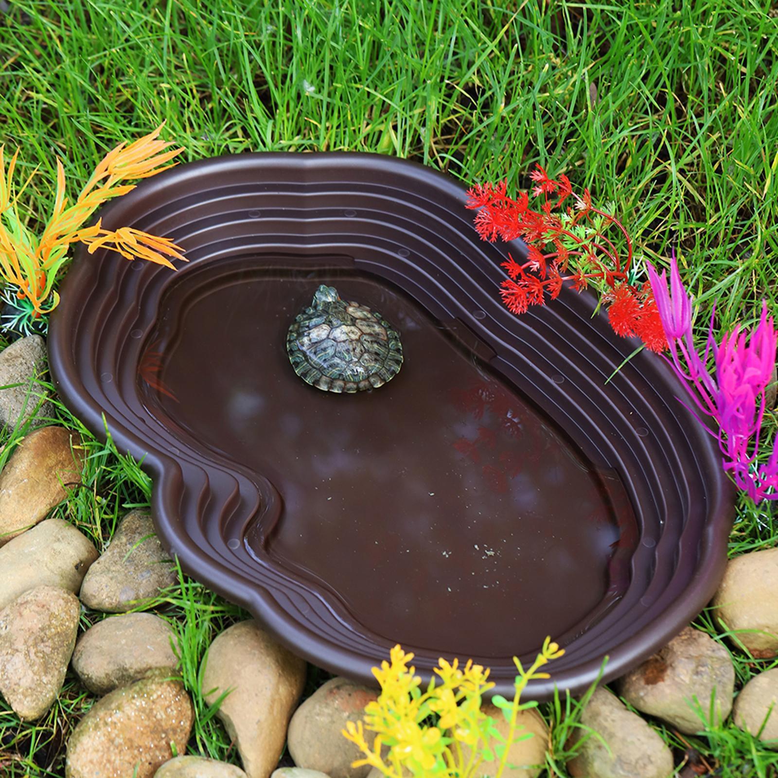 طبق استحمام للزواحف طبق تغذية  - مراجعة Water Dish Reptile وسعره