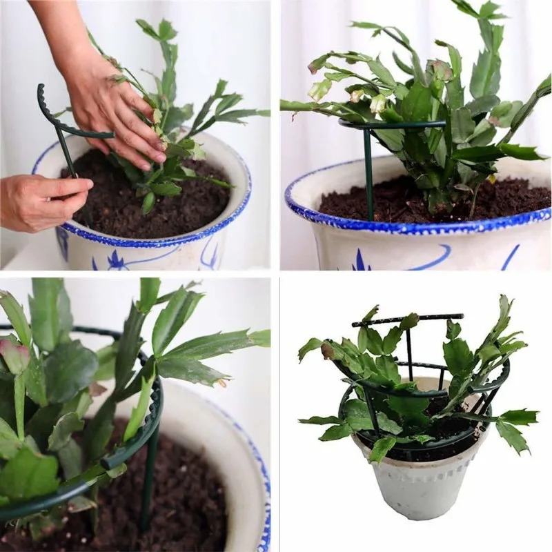 1-9 قطع من دعامات النباتات الب - مراجعة Vine Climbing Plastic وسعره