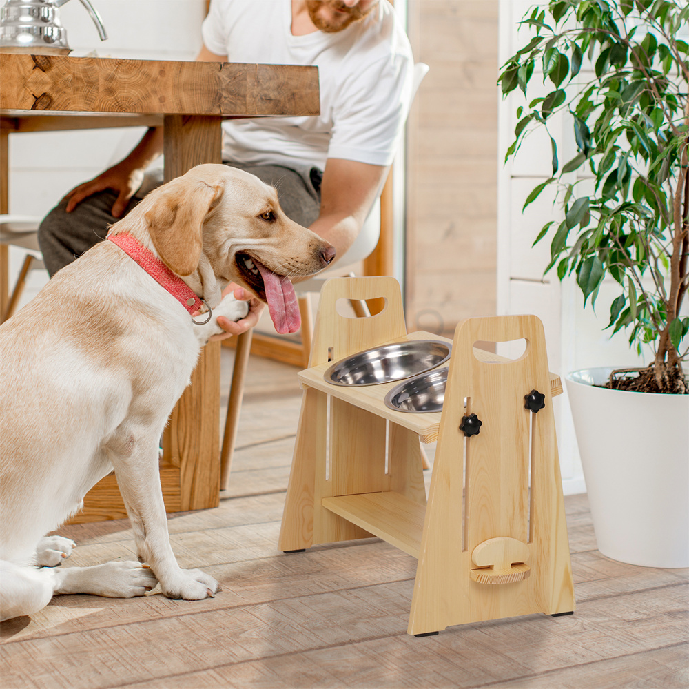 أوعية طعام مرفوعة للكلاب قابلة - مراجعة Royal Canin Food Medium وسعره