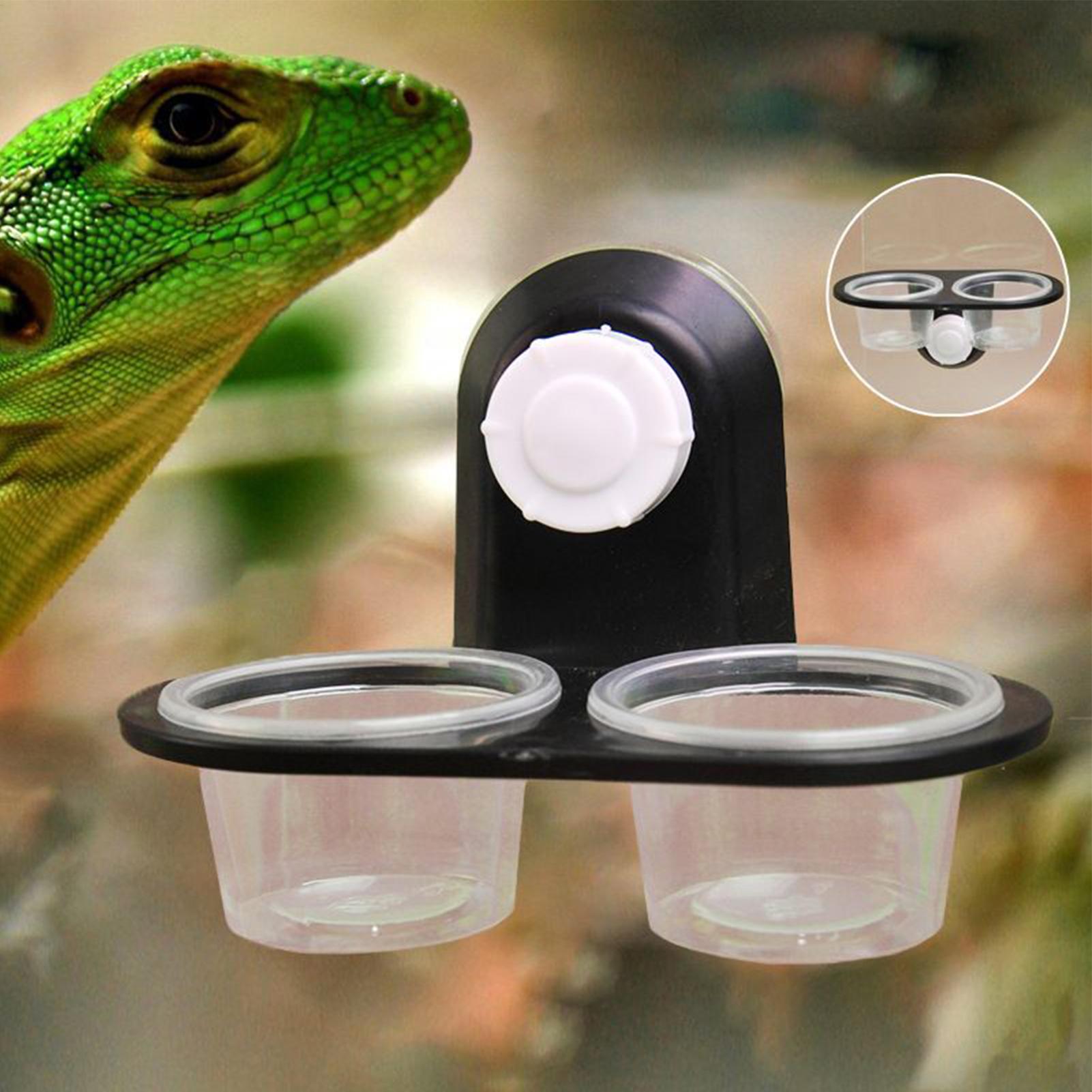 منصة تغذية للزواحف مع كوب شفط  - مراجعة Water Dish Reptile وسعره