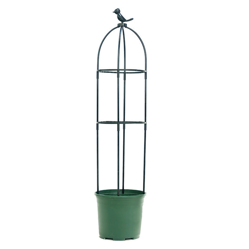 دعامة نباتات متسلقة بلاستيكية  - مراجعة Vine Climbing Plastic وسعره