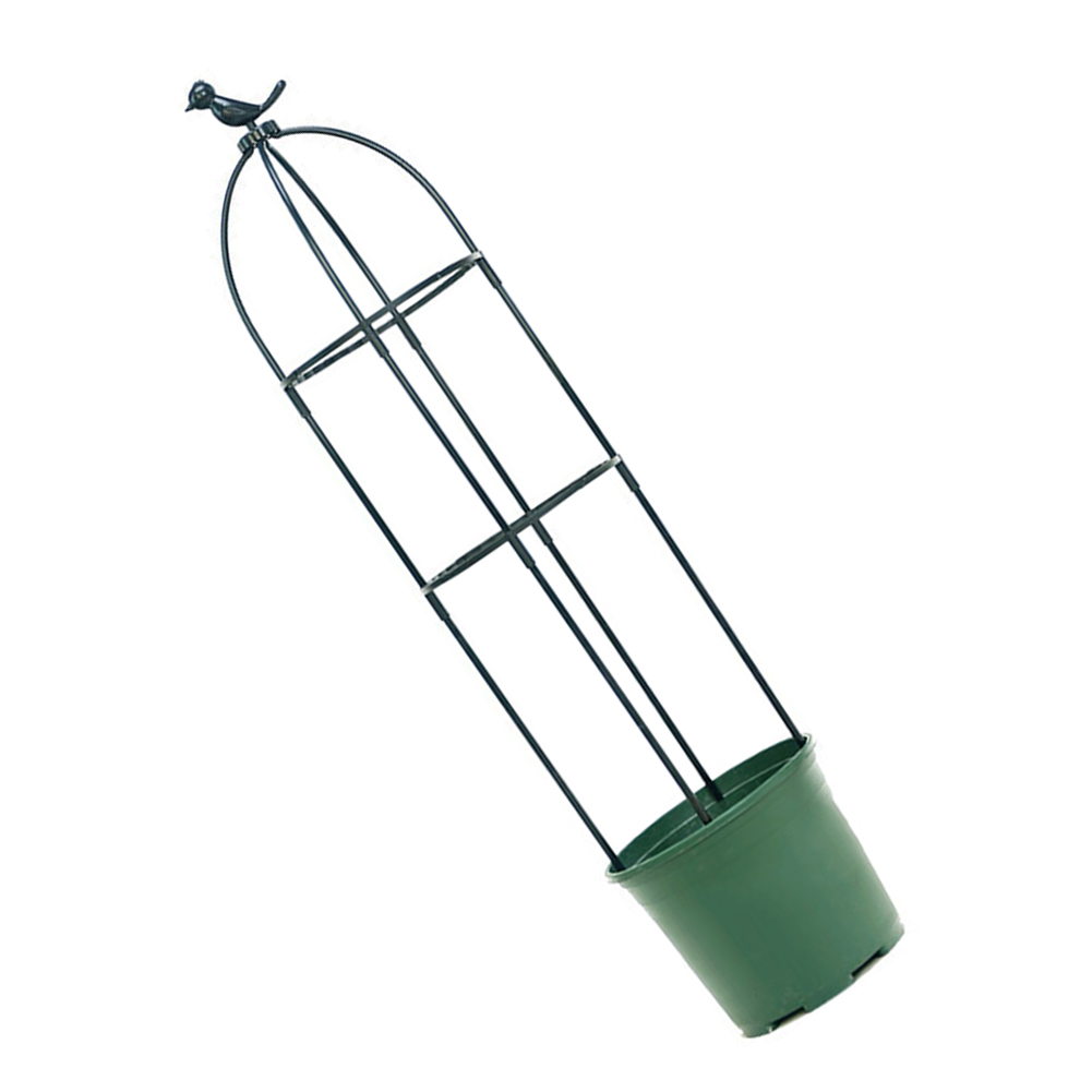 دعامة نباتات متسلقة بلاستيكية  - مراجعة Vine Climbing Plastic وسعره