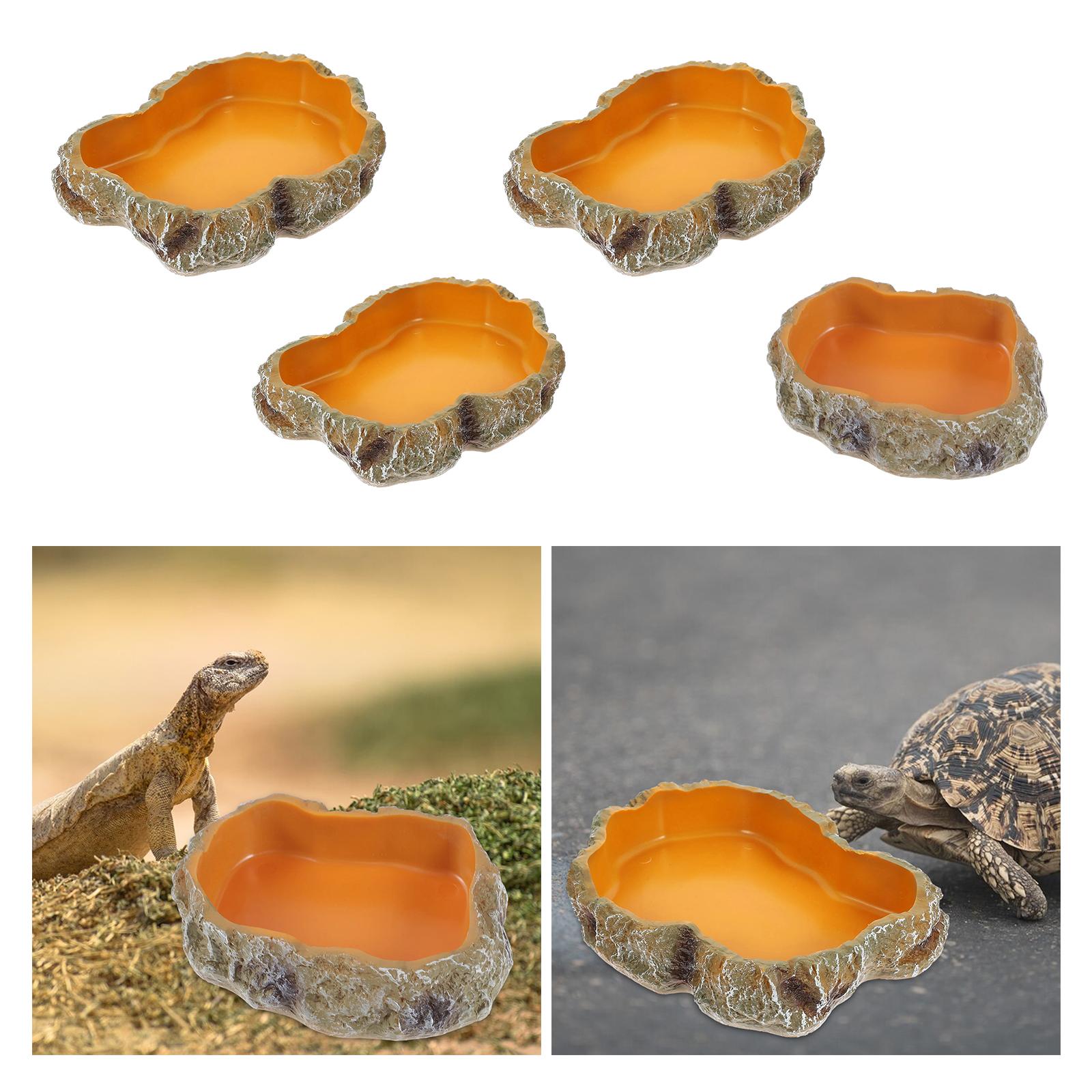 أطباق مياه الزواحف ديكور تررم  - مراجعة Water Dish Reptile وسعره