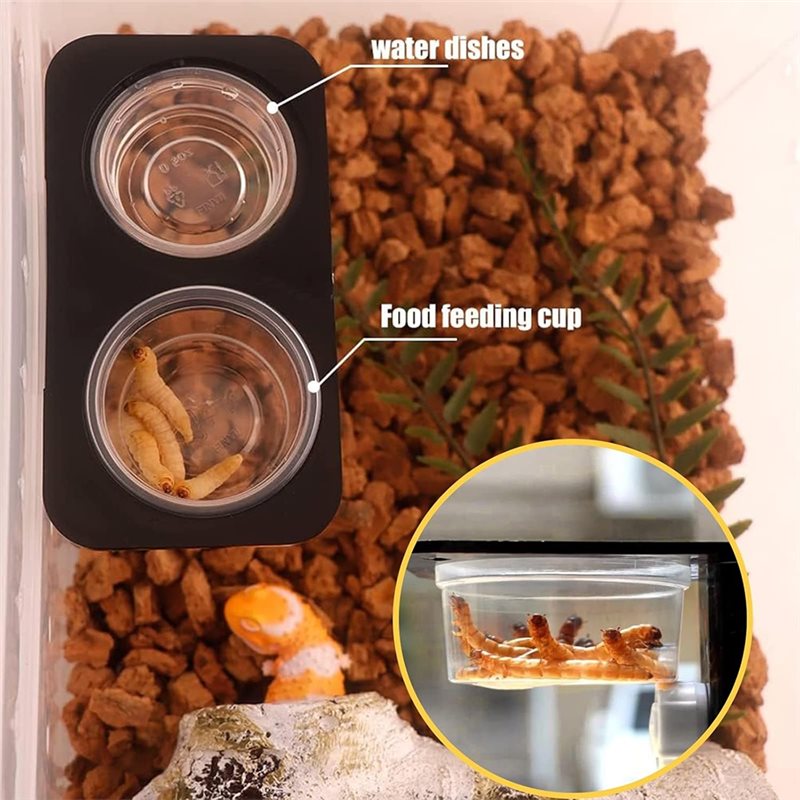 أكواب طعام وماء للسحالي (120 ق - مراجعة Water Dish Reptile وسعره