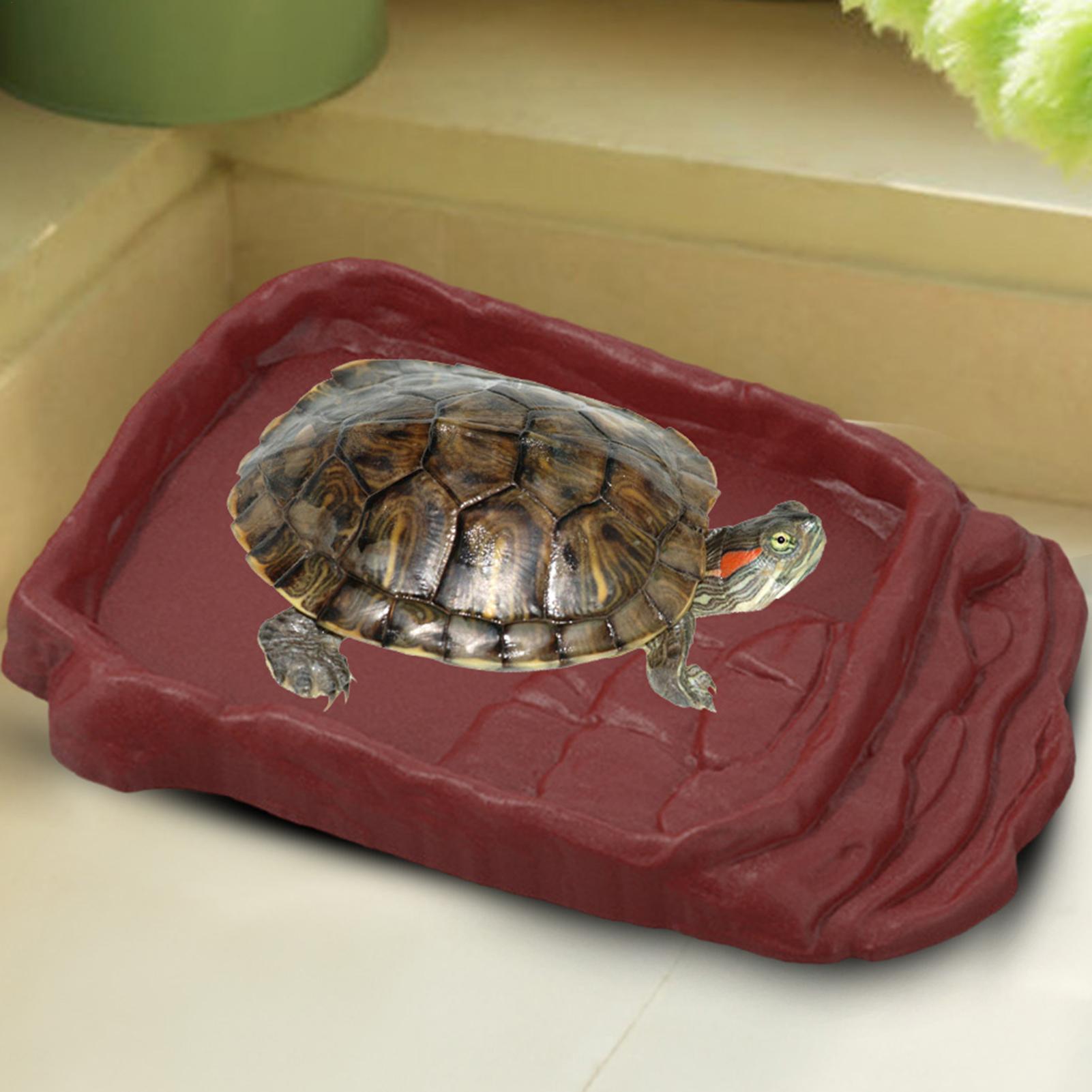 حوض استحمام للسلاحف، وعاء ماء، - مراجعة Water Dish Reptile وسعره