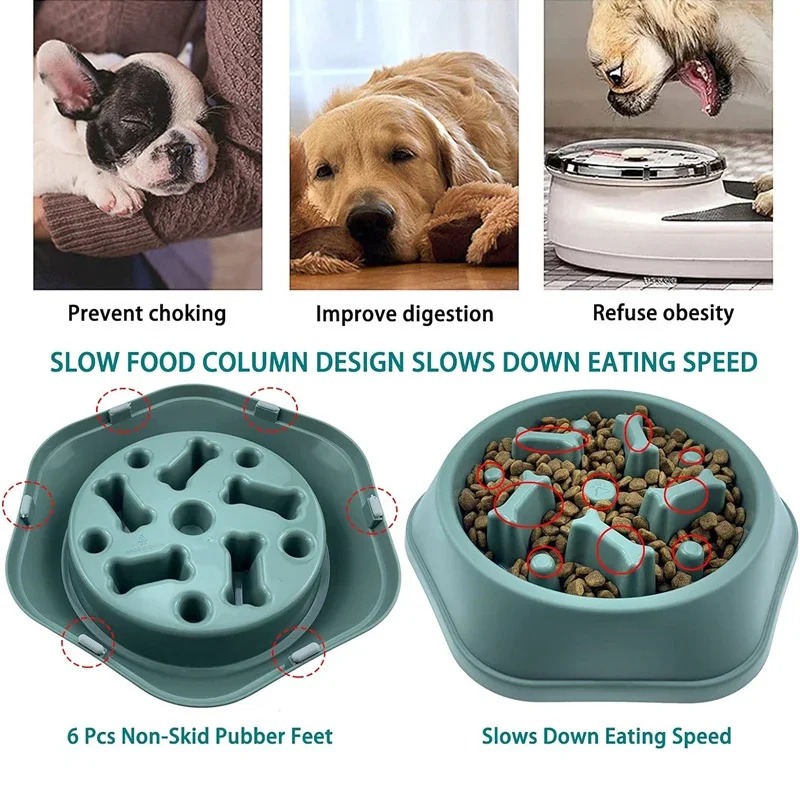 وعاء طعام للكلاب بطيء التناول  - مراجعة Royal Canin Food Medium وسعره